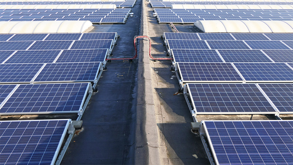 Zonnepanelen