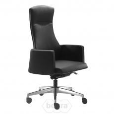 Style manager-fauteuil